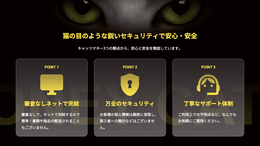キャッツマネーの画像4枚目（鋭いセキュリティで安心・安全）