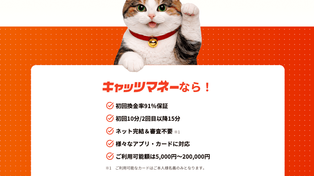 キャッツマネーの画像5枚目（キャッツマネーの特徴）